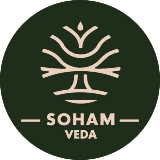 Soham Veda logo